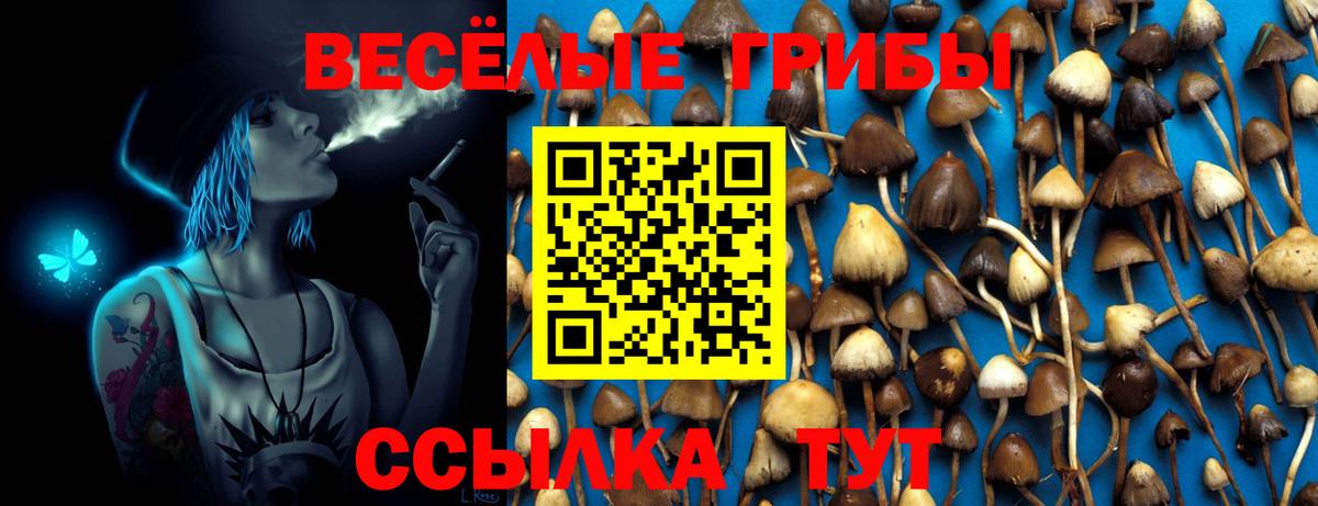 Среднеуральск  Галлюциногенные грибы MAGIC MUSHROOMS  продажа наркотиков  Вход с VPN 
